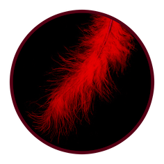 cirkel 2cm